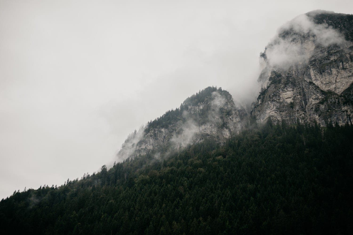 20190906_josefinecarlo_herrholzner_330